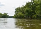 Approaching Lois Landing  Approaching the Lois Landing takeout.  Around the treefalls pictured here. Kayak Fox River from Yorkville to Millington : 2014, Fox River, Kayaking, Millington, Yorkville