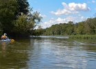 FoxRiverYorkvilleMillington090714-1672  Kayaking Fox River:  Yorkville to Millington : 2014, Fox River, Kayaking, Millington, Yorkville, Yorkville to Millington, paddling
