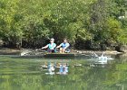 Crew  Pair of rowers passing by. Kayak North Shore Channel, Skokie to Wilmette Locks : 2014, Chicago River, Cook County, IL, Illinois, Kayaking, North Shore Channel, Skokie, Skokie Park District, paddling