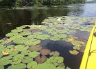Umbagog Lake  Kayaking Umbagog Lake, Umbagog State Park in New Hampshire : 2014, Errol, Kayaking, New Hampshire, Umbagog Lake, Umbagog State Park