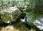 Maine080814-1103  Hiking Rattle River section of Appalachian Trail in New Hampshire : 2014, AT, Appalachian Trail, Hiking, New Hampshire, Rattle River Trail, White Mountain National Forest