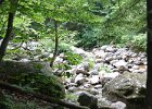 Maine080814-1118  Hiking Rattle River section of Appalachian Trail in New Hampshire : 2014, AT, Appalachian Trail, Hiking, New Hampshire, Rattle River Trail, White Mountain National Forest