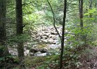 Maine080814-1122  Hiking Rattle River section of Appalachian Trail in New Hampshire : 2014, AT, Appalachian Trail, Hiking, New Hampshire, Rattle River Trail, White Mountain National Forest