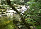 Maine080814-1141  Hiking Rattle River section of Appalachian Trail in New Hampshire : 2014, AT, Appalachian Trail, Hiking, New Hampshire, Rattle River Trail, White Mountain National Forest