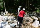 Maine080814-1147  Hiking Rattle River section of Appalachian Trail in New Hampshire : 2014, AT, Appalachian Trail, Hiking, New Hampshire, Rattle River Trail, White Mountain National Forest