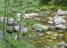 Bear River  Bear River. Picnic lunch after kayaking.  Visiting Screw Auger Falls at Grafton Notch State Park : 2014, Grafton Notch State Park, Maine, Newry, Screw Auger Falls, waterfall