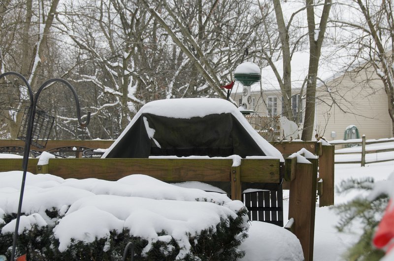 NewYearsSnowStorm2014-0003.jpg - Mom and Dad's house the day after the New Years Day snow storm of 2014