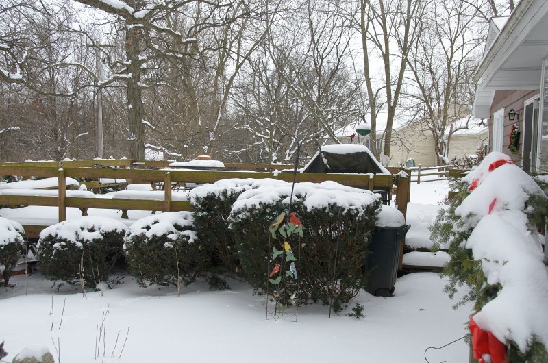 NewYearsSnowStorm2014-0004.jpg - Mom and Dad's house the day after the New Years Day snow storm of 2014