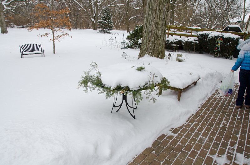 NewYearsSnowStorm2014-0006.jpg - Mom and Dad's house the day after the New Years Day snow storm of 2014