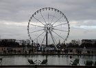 Paris120914-3315  Grande Roue ferris wheel viewed from the Garden of the Tuileries/Jardin des Tuileries. Paris Day 2 : 1st arrondissement, 2014, Ferris Wheel, Grand Roue, Jardin des Tuileries, Paris