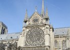 Notre Dame South Facade  Walking along the Eastern and Southern sides of Cathédrale Notre Dame. Day 1 Paris : 2014, 4th arrondissement, Cathédrale, Cathédrale Notre Dame de Paris, France, Notre Dame de Paris, Paris, cathedral, Île de la Cité