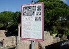 Rome122814-4533  Walking through the Ostia Antica archeological site : 2014, Italy, Ostia Antica, Rome, archeological site