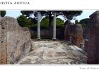 OstiaAntica123114143  Ostia Antica - Scavi. Terme di Nettuno, Mosaico del Frigidarium, II Sec. d. C. Post cards from our walk through Ostia Antica : 2014, Area Archeologica di Ostia, Ostia Antica, Rome, post card, scan