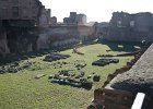 Palace of Domitia  Palace of Domitian on Palatine Hill : 2014, Foro Romano, Italy, Roman Forum, Rome