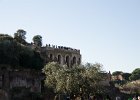 Palatine Hill  Looking up at Palatine Hill from the Roman Forum / Foro Romano : 2014, Foro Romano, Italy, Roman Forum, Rome