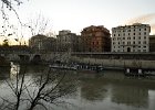 Tiber River  On the Tiber River near the Mausoleum of Augustus : 2015, Bridge, Italy, Rome, Tiber River