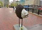 Fish Sculpture  Fish Sculpture Baltimore Inner Harbor area near Pratt Street : 2014, Baltimore, Inner Harbor, Late Afternoon, Maryland, Sculpture, Walking