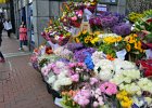 Flowers - Grafton Street  Flower vendors along Grafton. Walking South along Grafton Street : 2014, Dublin, Flowers, Grafton Street, Ireland, Walking