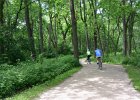 Danada062115-3335  Biking Danada Forest Preserve, around Herrick Lake : 2015, Biking, Danada, Danada Forest Preserve