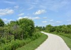 Danada062115-3337  Biking Danada Forest Preserve, around Herrick Lake : 2015, Biking, Danada, Danada Forest Preserve
