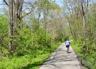 FoxRiverBike050215-2836  Fox River Bike Trail, from Fabyan Forest Preserve to North Aurora and back. : 2015, Biking, Fox River, Fox River Bike Trail, Geneva