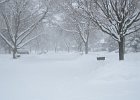 Snow storm 1-Feb-15  Snow storm 1-Feb-15 : 2015, Blizard, Home, Snow, Snow storm