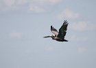 Captiva052115-5515 : 2015, Captiva