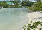 Captiva052115-3051  Kayaking from Tween Waters Inn to Blind Pass and back : 2015, Blind Pass, Captiva, Kayaking, Roosevelt Channel