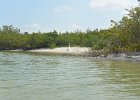 Captiva052115-3058  Kayaking from Tween Waters Inn to Blind Pass and back : 2015, Blind Pass, Captiva, Kayaking, Roosevelt Channel