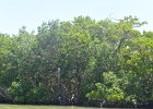 Captiva052115-3125 : 2015, Blind Pass, Captiva, Kayaking, Roosevelt Channel