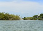 Captiva052115-3158  Kayaking from Tween Waters Inn to Blind Pass and back : 2015, Blind Pass, Captiva, Kayaking, Roosevelt Channel