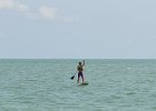 Mike  Mike Standup Paddle in gulf just off sunset beach : 2015, Captiva, Sunset Beach