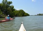 Cathie Kayaking  Cathie. Kayak from Tween Waters Inn, down to Blind Pass, back up the far side of Buck Key, then back via the Mangrove Trail : 2015, Captiva, Kayaking, Pine Island Sound