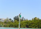 Pelican  Pelican at channel market. Kayak from Tween Waters Inn, down to Blind Pass, back up the far side of Buck Key, then back via the Mangrove Trail : 2015, Captiva, Kayaking, Pine Island Sound