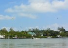 Birds flying near Blind Pass  Birds flying near Blind Pass. Kayaking from Tween Waters Inn to Blind Pass and back : 2015, Blind Pass, Captiva, Great Egret, Kayaking, Roosevelt Channel