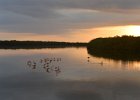 Sunset  Sunset. Ding Darling : 2015, Captiva, Ding Darling, Roseate Spoonbill, Sunset