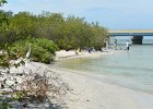 Blind Pass  People and birds fishing at Blind Pass beach. Kayaking from Tween Waters Inn to Blind Pass and back : 2015, Blind Pass, Bridge, Captiva, Kayaking, Roosevelt Channel