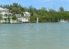 Great Blue Heron  Great BLue Heron at Blind Pass. Kayaking from Tween Waters Inn to Blind Pass and back : 2015, Blind Pass, Captiva, Great Blue Heron, Kayaking, Roosevelt Channel