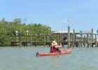 Pier  Pier with lots of birds. Kayaking from Tween Waters Inn to Blind Pass and back : 2015, Blind Pass, Captiva, Kayaking, Roosevelt Channel, pier