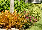 Landscaping  Lands End landscaping : 2015, Captiva, landscape