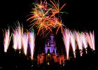 Walt Disney World Photo Gallery Disc : 2015, Copyright Disney, Disney, Disney Photo Imaging, Disney PhotoPass, Walt Disney World Photo Gallery Disc, © Disney