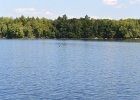 Maine090515-3616  Boating on Umbagog Lake : 2015, Errol, Lake, Lake Umbagog, Maine, New Hampshire, Upton, boating