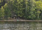 Camp site 5, Big Island  Camp site 5, Big Island. Boating on Umbagog Lake : 2015, Errol, Lake, Lake Umbagog, Maine, New Hampshire, Upton, boating