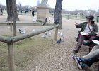 Paris122715-7883  Taking a break at the La Pavillon de la Fontaine. Jardin du Luxembourg / Luxembourg Garden : 2016, Day 6, Jardin du Luxembourg, Luxembourg Garden, New Years Day, Paris, le Nouvel An, le jour de l'An