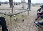 Jardin du Luxembourg  Taking a break at the La Pavillon de la Fontaine. Liz is talking nicely to the pigeons.  Jardin du Luxembourg / Luxembourg Garden : 2016, Day 6, Jardin du Luxembourg, Luxembourg Garden, New Years Day, Paris, le Nouvel An, le jour de l'An