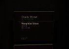 Paris122715-7595  "Nymphéas bleus," painting by Claude Monet, 1916-1919. Musée d'Orsay : 2015, Day 4, Gare d'Orsay, Paris, impressionist, musée d'Orsay, paintings
