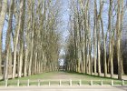 Paris122715-7785  Gardens of Versailles/Jardins du château de Versailles : 2015, Château de Versailles, Day 5, Domaine de Versailles, Gardens of Versailles, Jardins du château de Versailles, Palace and Park of Versailles, Palace of Versailles, Paris, Versailles