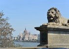 Parliament building  Parliament building seen while crossing the Széchenyi Chain Bridge.  Walking through Budapest:  Corinthia Hotel, Parliament, Chain Bridge, St Stephan's Basilica, and Hungarian State Opera : 2015.Budapest, Chain Bridge, Hungary, Pest City Walk, Széchenyi, Széchenyi Chain Bridge, Walking