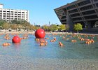 Dallas102815-3876  Pumpkin display in front of Dallas City Hall. Walk downtown Dallas : 2015, City Hall, Dallas, Downtown, Pumpkins, Texas, Walking