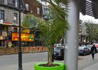 Green lit planter.  Green lit planter. Walking East and South along rue Saint-Denis, Quartier Latin. Walking Montreal Centre-Ville and Quartier des Spectacles areas : 2015, Canada, Centre-VIlle, Montréal, Quartier Latin, Québec, Walking